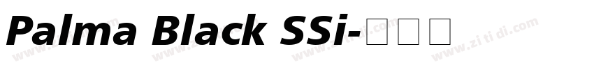 Palma Black SSi字体转换